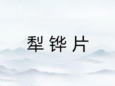 犁铧片 犁铧片