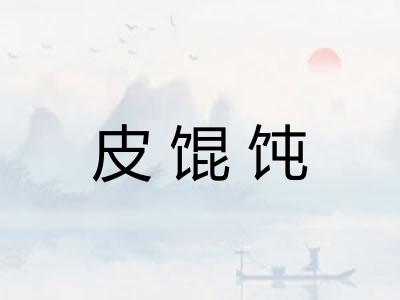 皮馄饨 皮馄饨