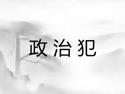 政治犯 政治犯