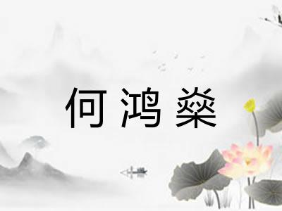 何鸿燊 何鸿燊