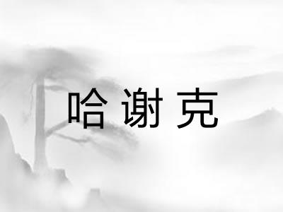哈谢克 哈谢克