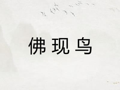 佛现鸟 佛现鸟
