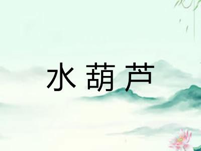 水葫芦