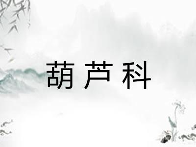 葫芦科 葫芦科