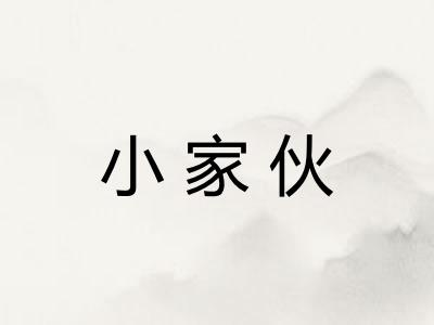 小家伙 小家伙