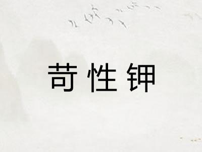 苛性钾 苛性钾