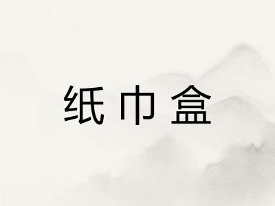 纸巾盒 纸巾盒