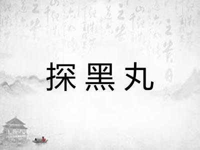 探黑丸 探黑丸