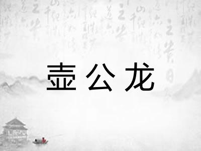 壶公龙 壶公龙