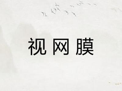 视网膜 视网膜