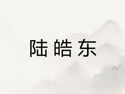 陆皓东 陆皓东