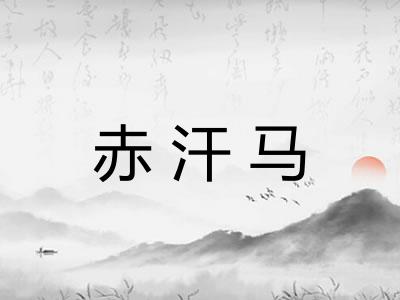 赤汗马 赤汗马