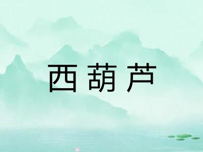 西葫芦 西葫芦