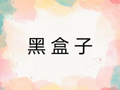 黑盒子 黑盒子