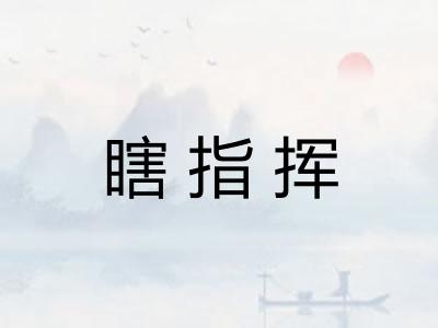 瞎指挥 瞎指挥