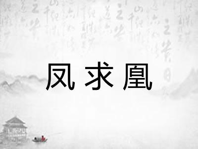 凤求凰 凤求凰