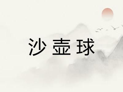 沙壶球 沙壶球