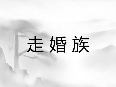 走婚族 走婚族