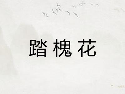 踏槐花