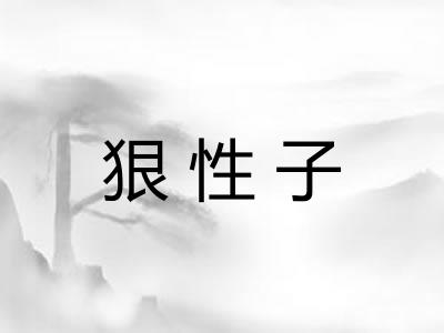 狠性子 狠性子