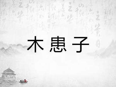 木患子 木患子