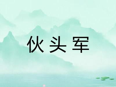 伙头军 伙头军