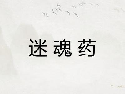 迷魂药 迷魂药