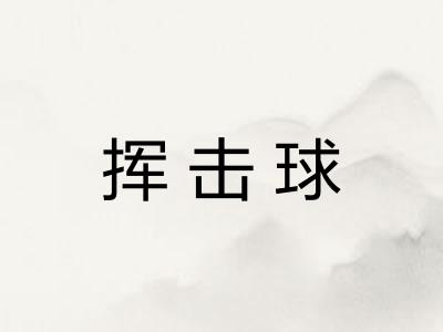 挥击球 挥击球