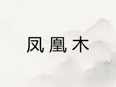 凤凰木 凤凰木