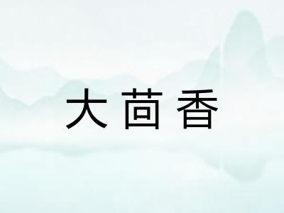 大茴香 大茴香