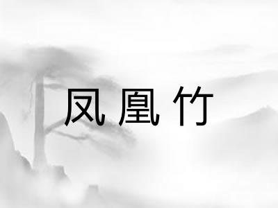 凤凰竹 凤凰竹
