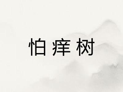 怕痒树 怕痒树