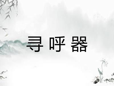 寻呼器 寻呼器