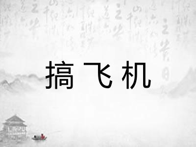 搞飞机 搞飞机