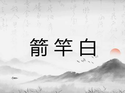 箭竿白 箭竿白
