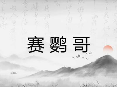 赛鹦哥 赛鹦哥
