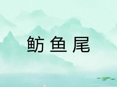 鲂鱼尾 鲂鱼尾