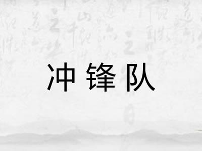 冲锋队 冲锋队