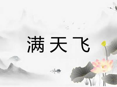 满天飞 满天飞