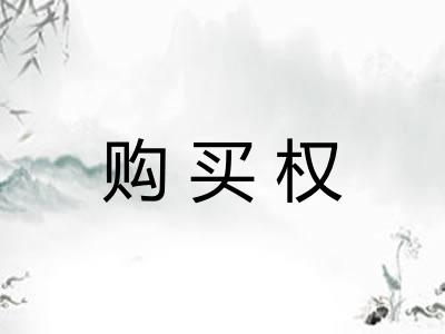 购买权 购买权
