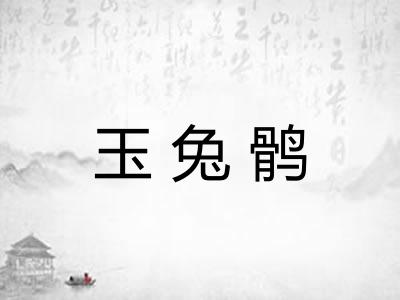 玉兔鹘 玉兔鹘