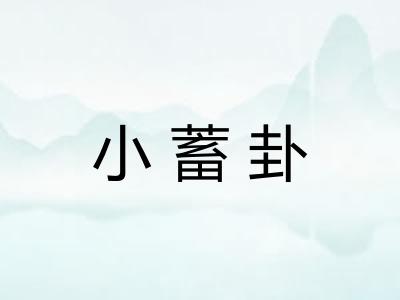 小蓄卦