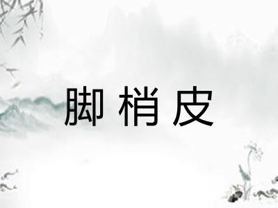 脚梢皮