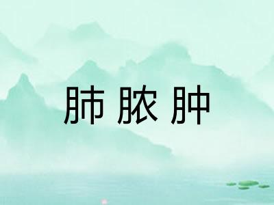 肺脓肿 肺脓肿