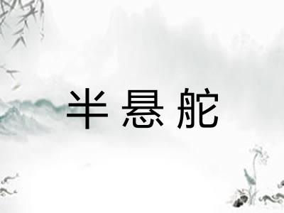 半悬舵 半悬舵