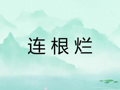 连根烂 连根烂