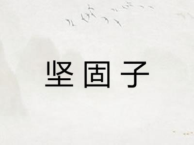 坚固子