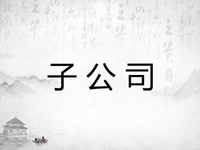 子公司 子公司