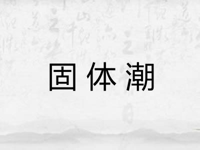 固体潮 固体潮