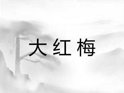 大红梅 大红梅